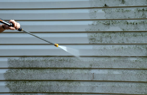 Trusted Mendota, CA Pressure Washing Services Experts